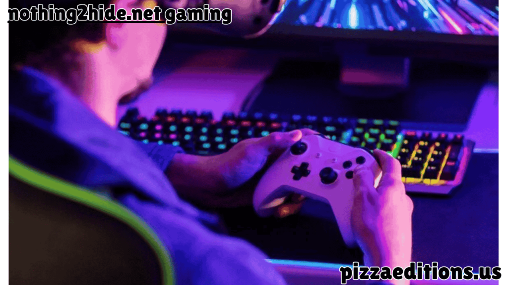 nothing2hide.net gaming