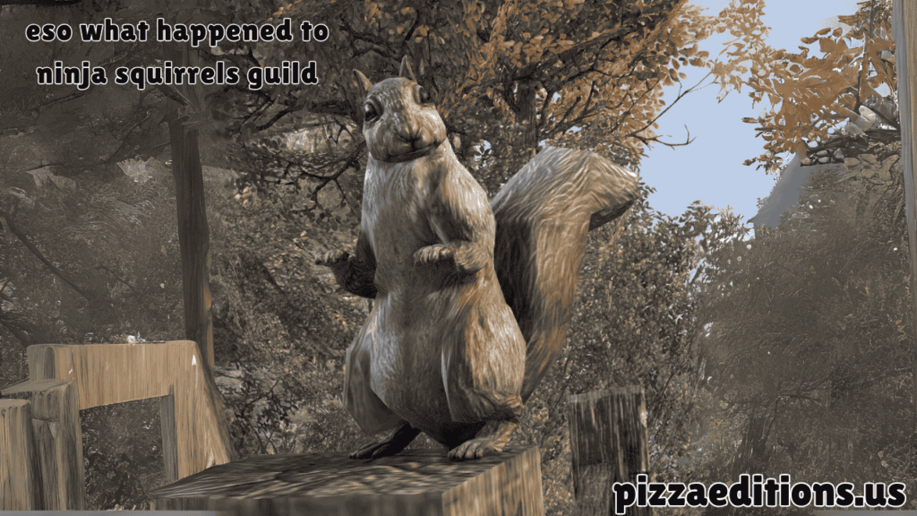 eso what happened to ninja squirrels guild