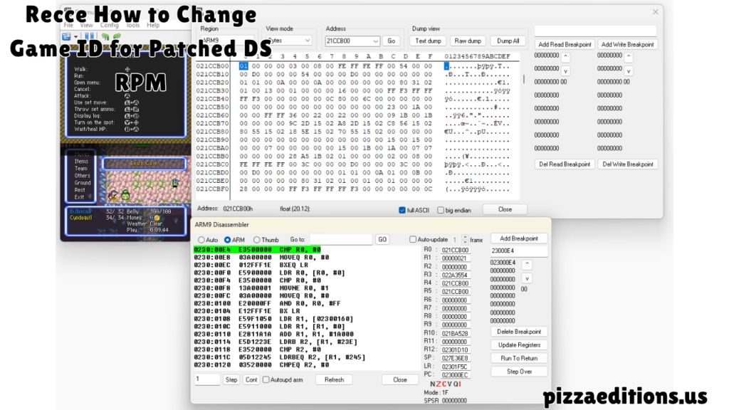 Recce How to Change Game ID for Patched DS RPM
