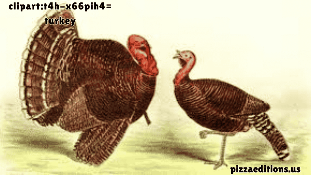 clipart:t4h-x66pih4= turkey