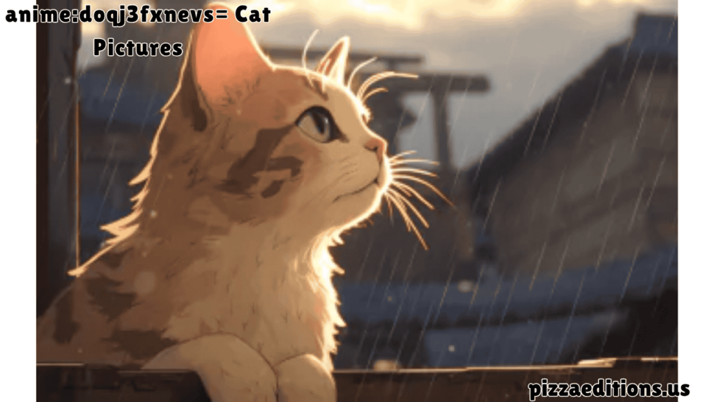 anime:doqj3fxnevs= cat pictures