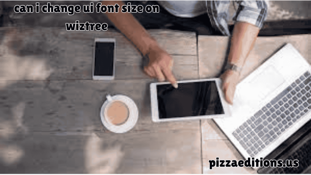can i change ui font size on wiztree